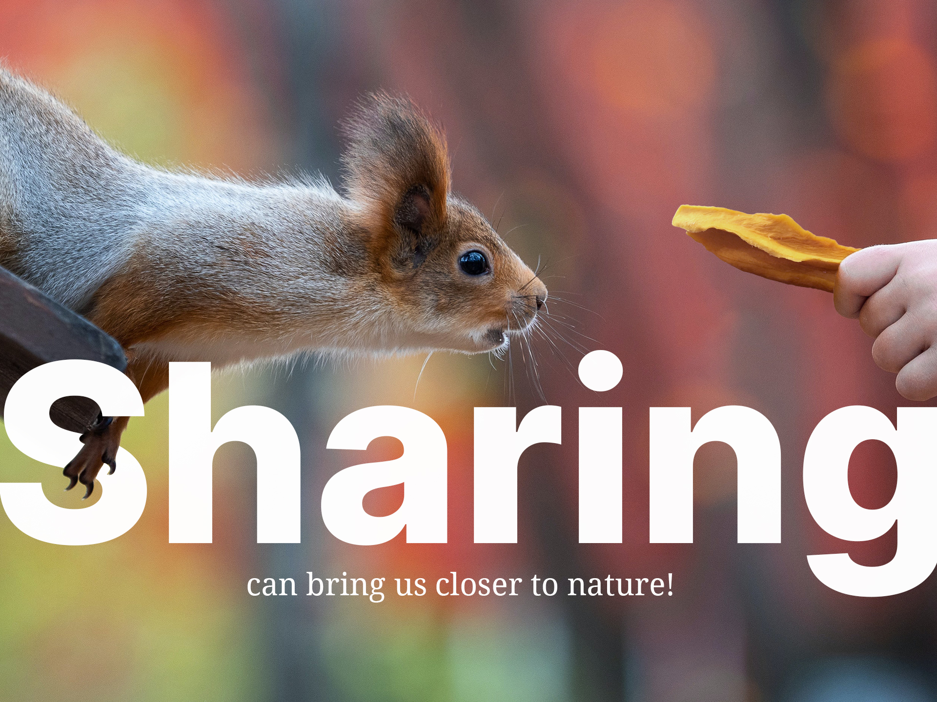 Sharing can bring us closer to nature Cheer Farm