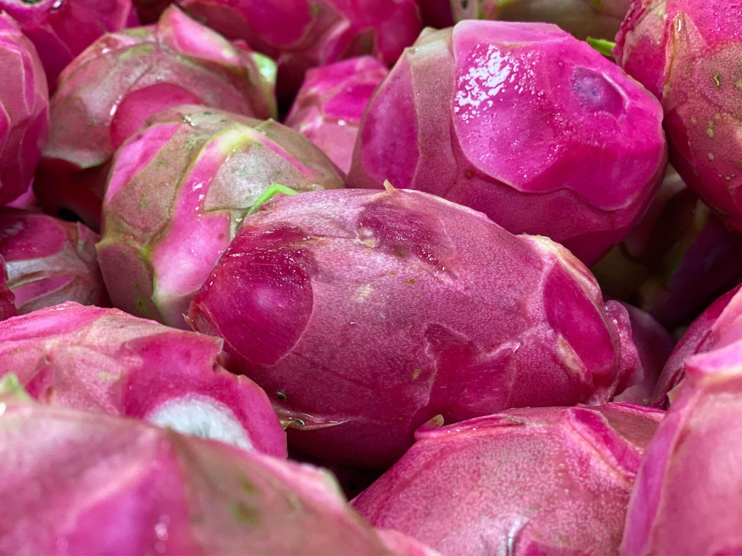 Washing and peeling white dragon fruit in cheerfarm, premium dried fruits