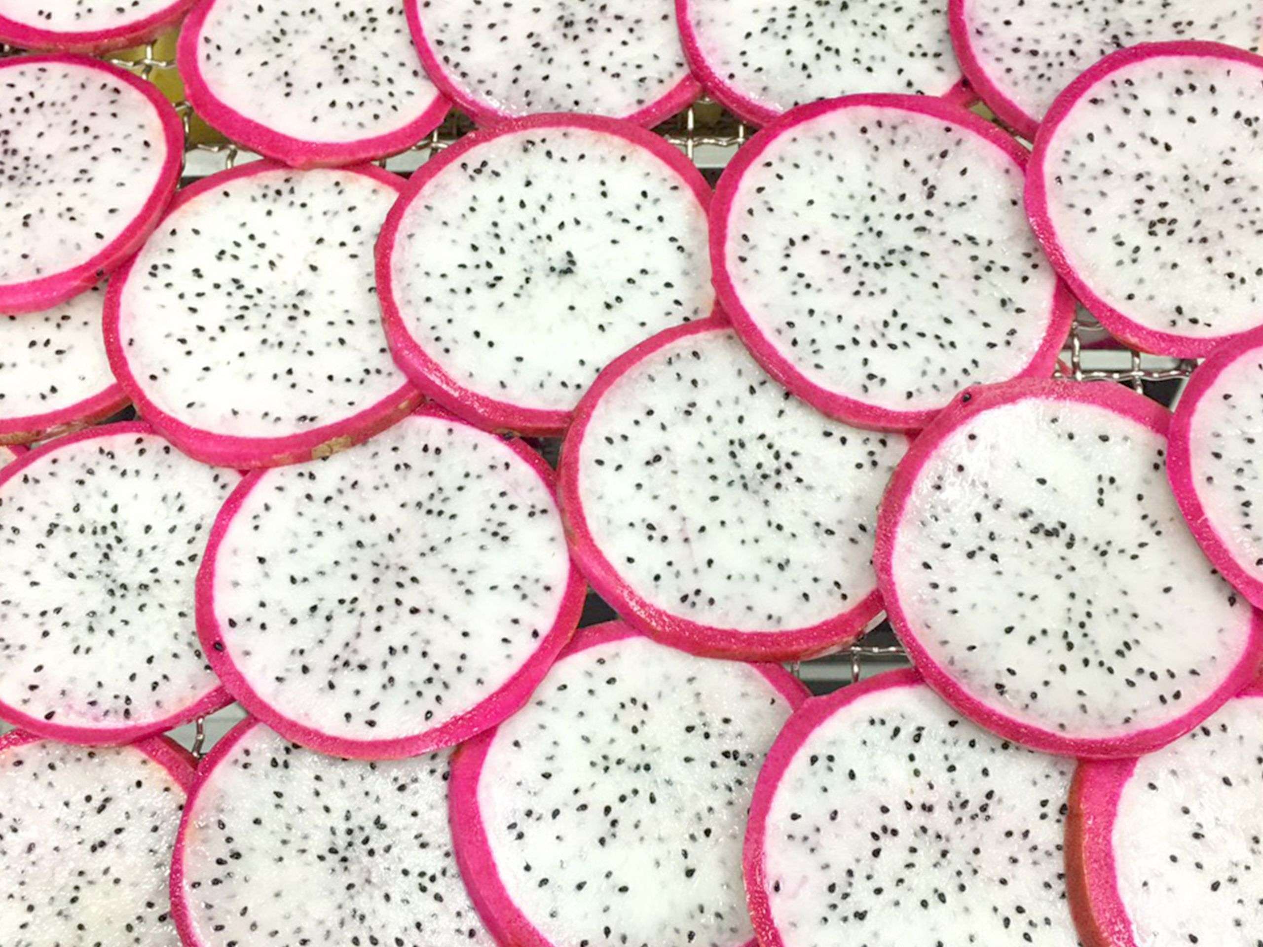 Cutting white dragon fruit in cheerfarm, premium dried fruits