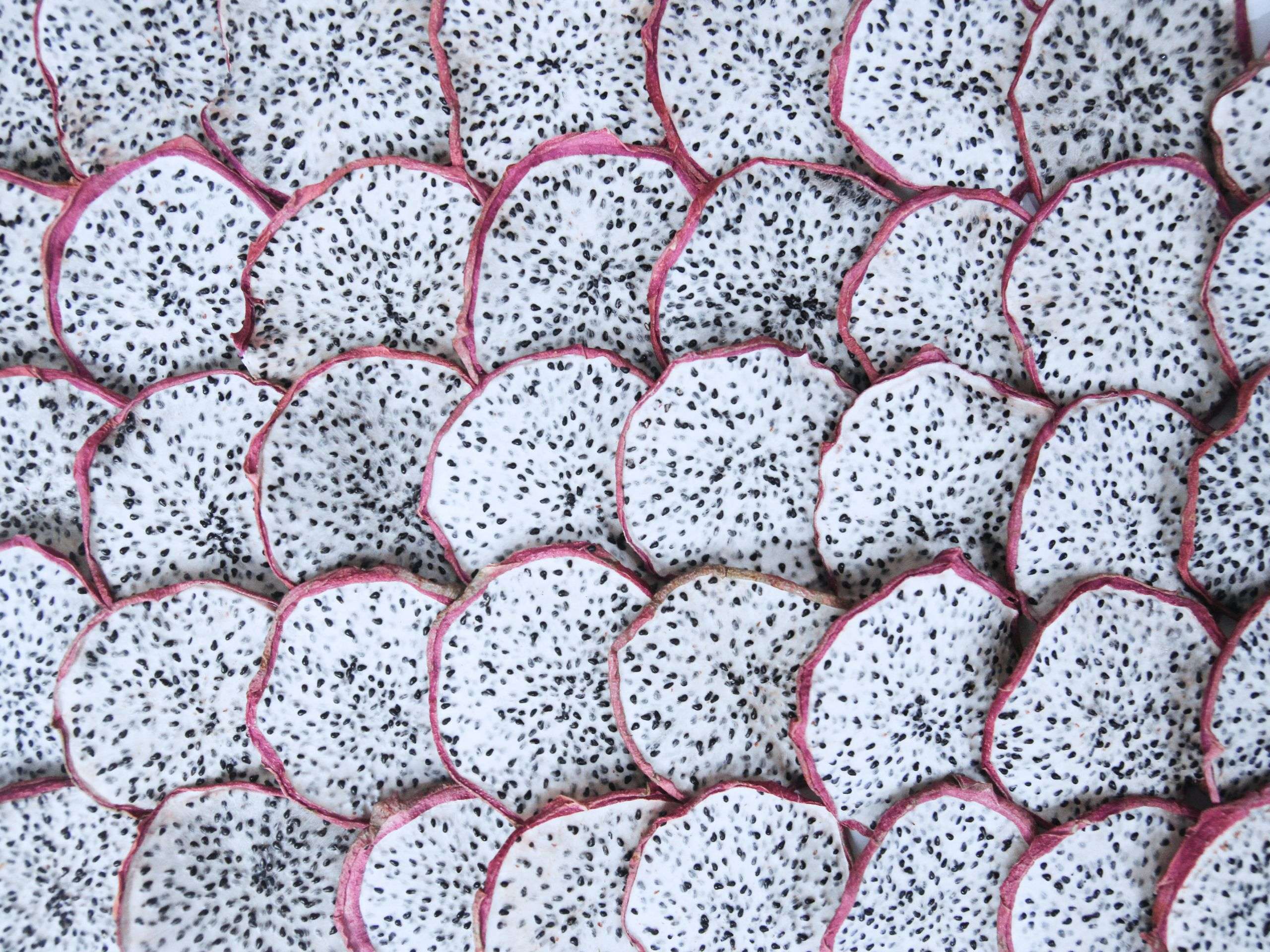 Classification white dragon fruit in cheerfarm, premium dried fruits