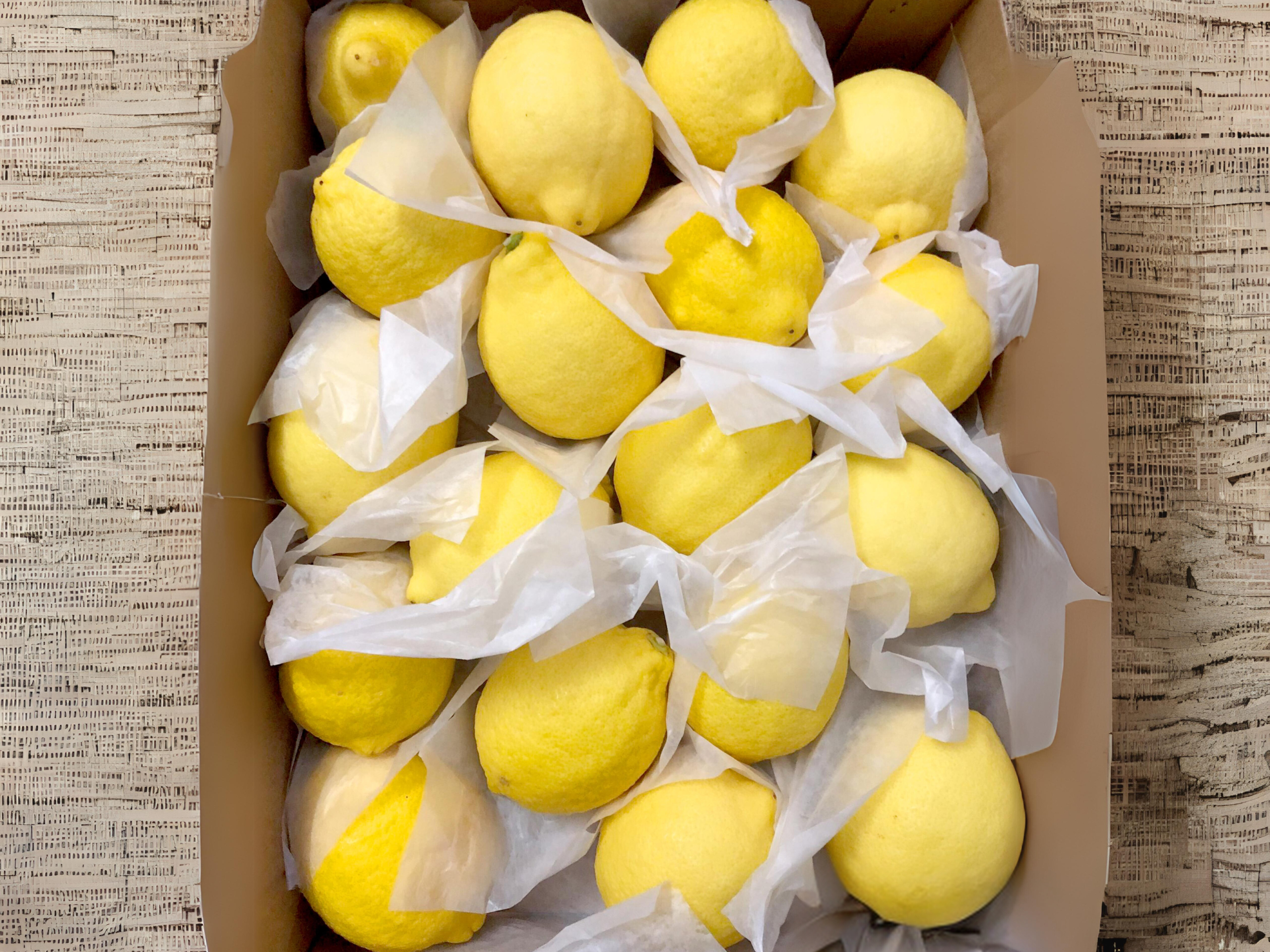 Washing lemon in cheerfarm, premium dried fruits