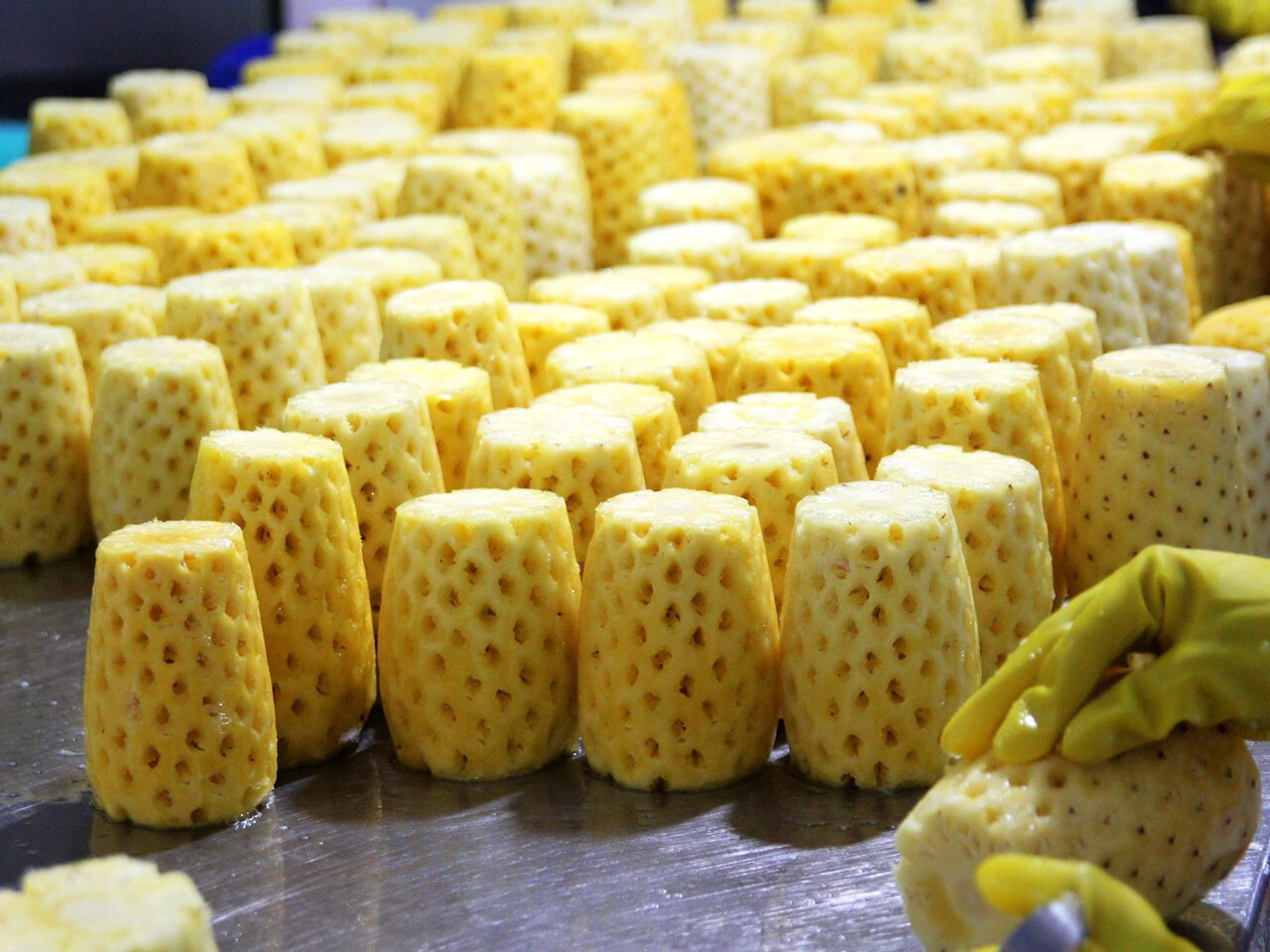 Washing and peeling pineapple in cheerfarm, premium dreid fruits