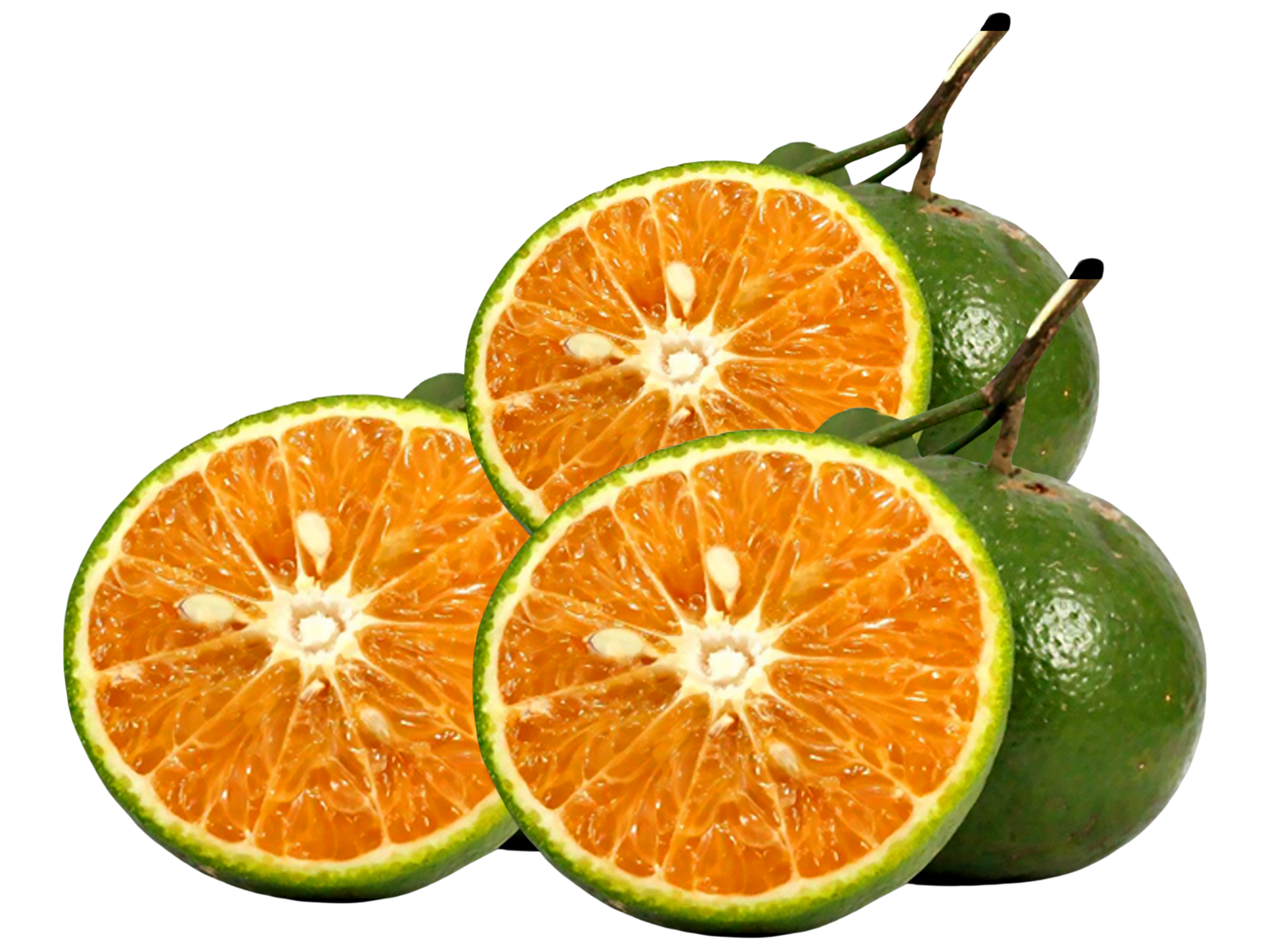 Cutting king orange in cheerfarm, premium dried fruits