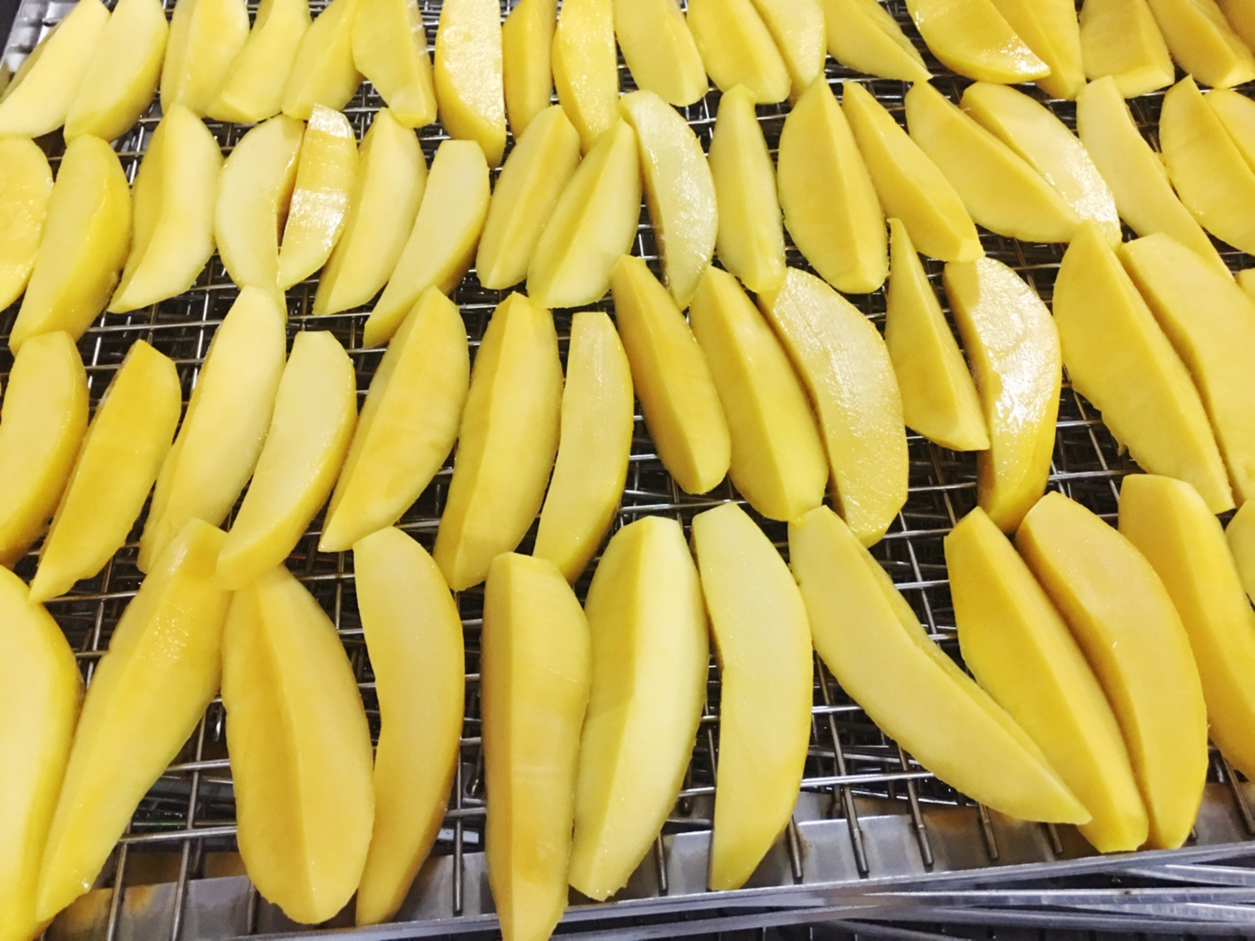 Cutting mango in cheerfarm, premium dried fruits