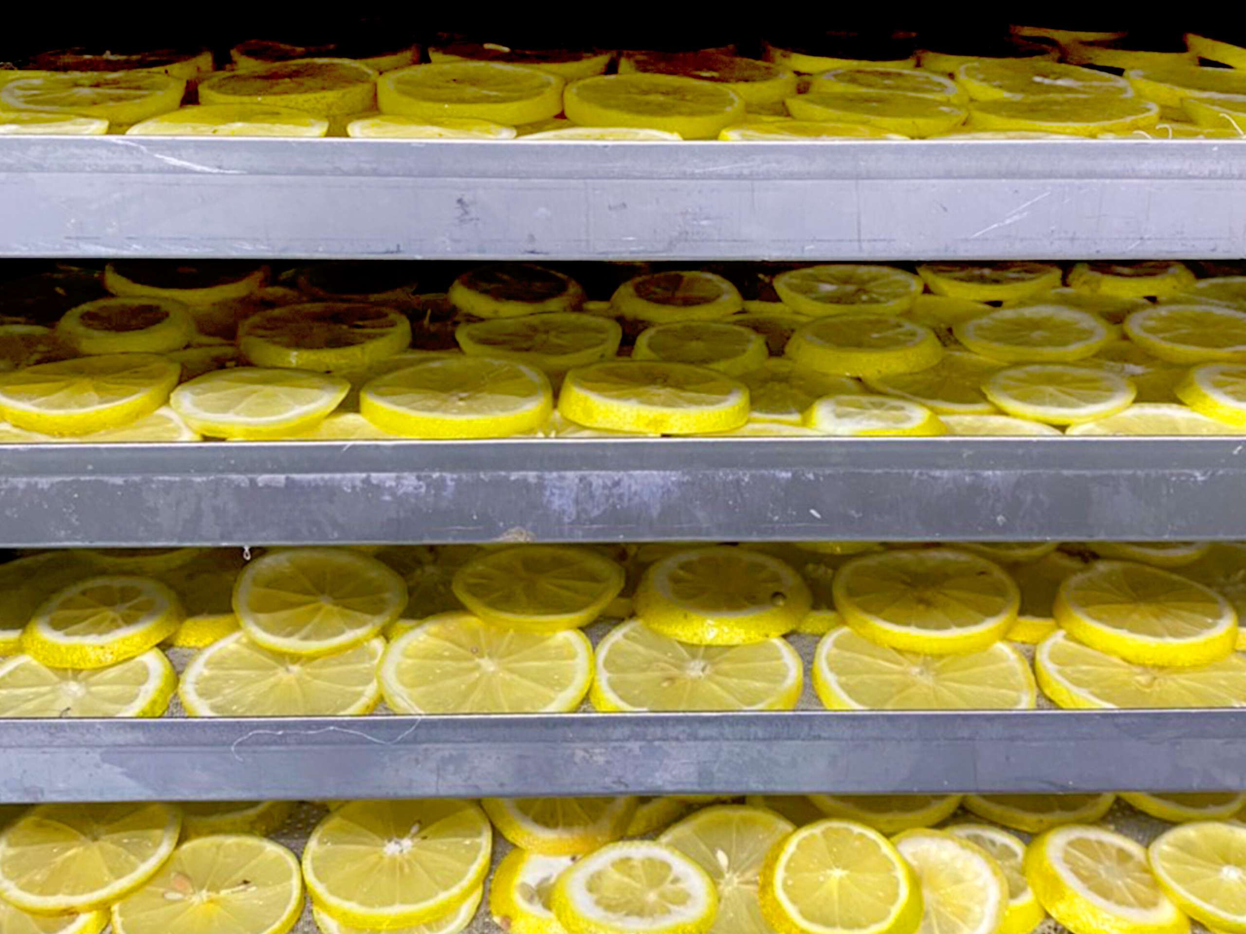 Drying lemon in cheerfarm, premium dried fruits
