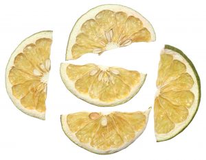 Grapefruit 3