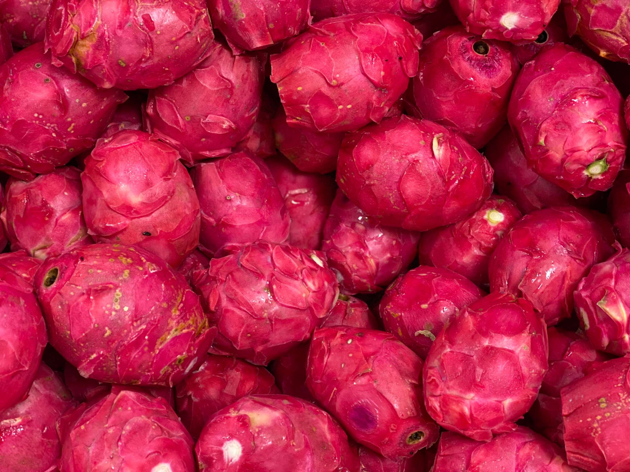 peeling dragon fruit