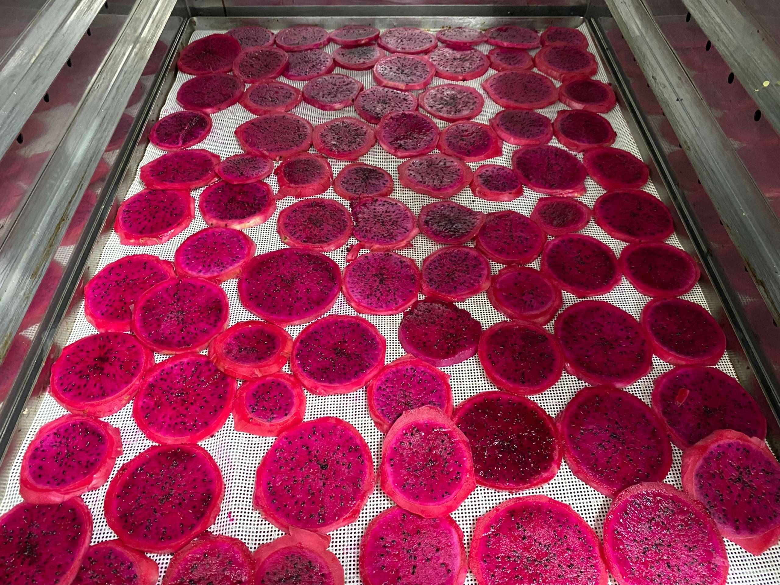 drying dragon fruit