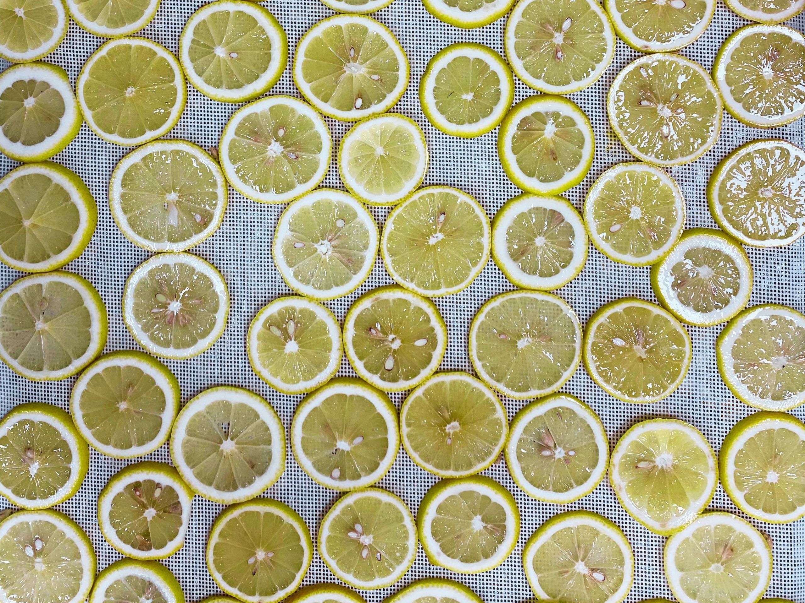 Cutting lemon in cheerfarm, premium dried fruits, dehydrated lemon