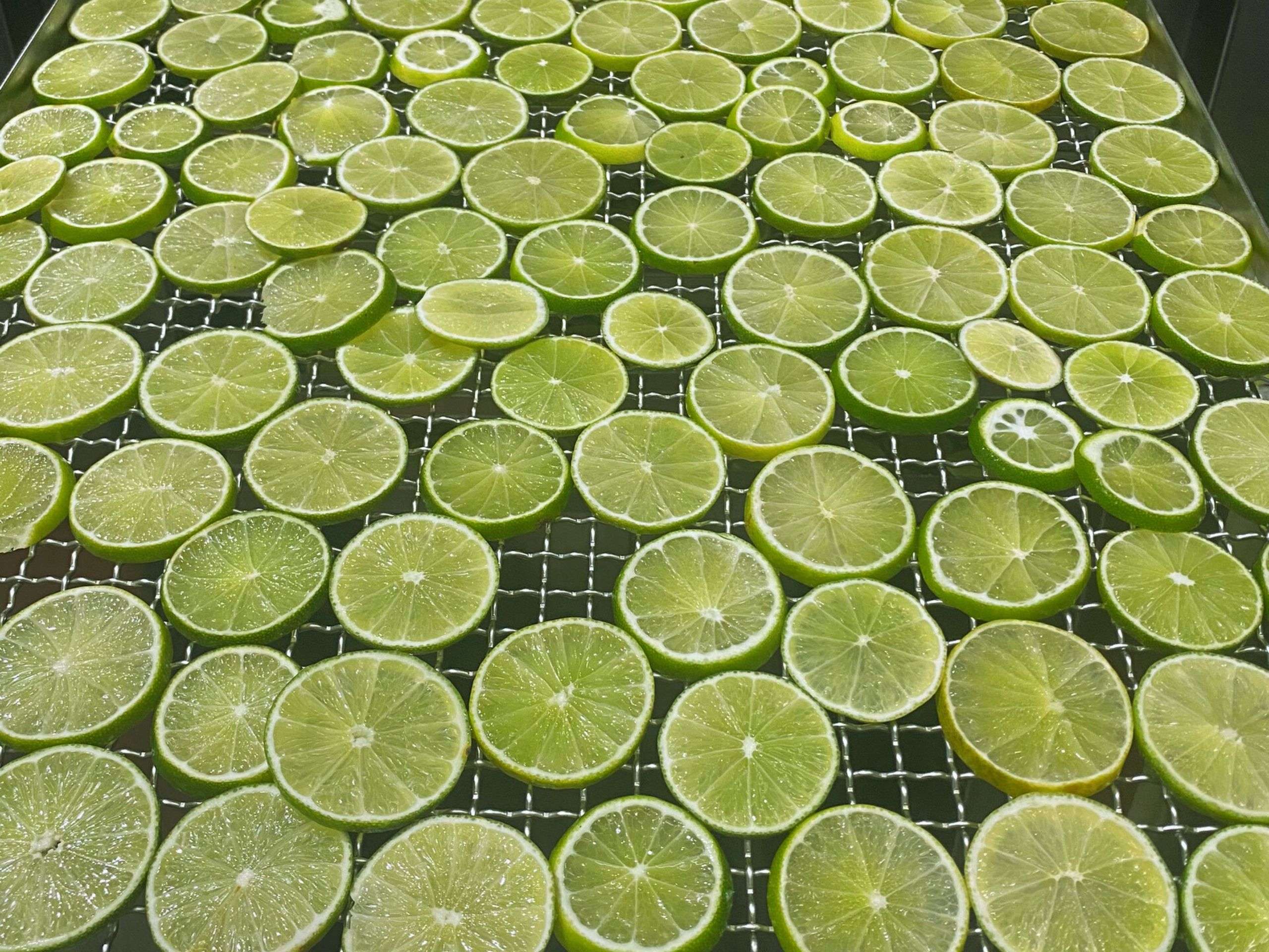 Drying lime in cheerfarm, premium dried fruits