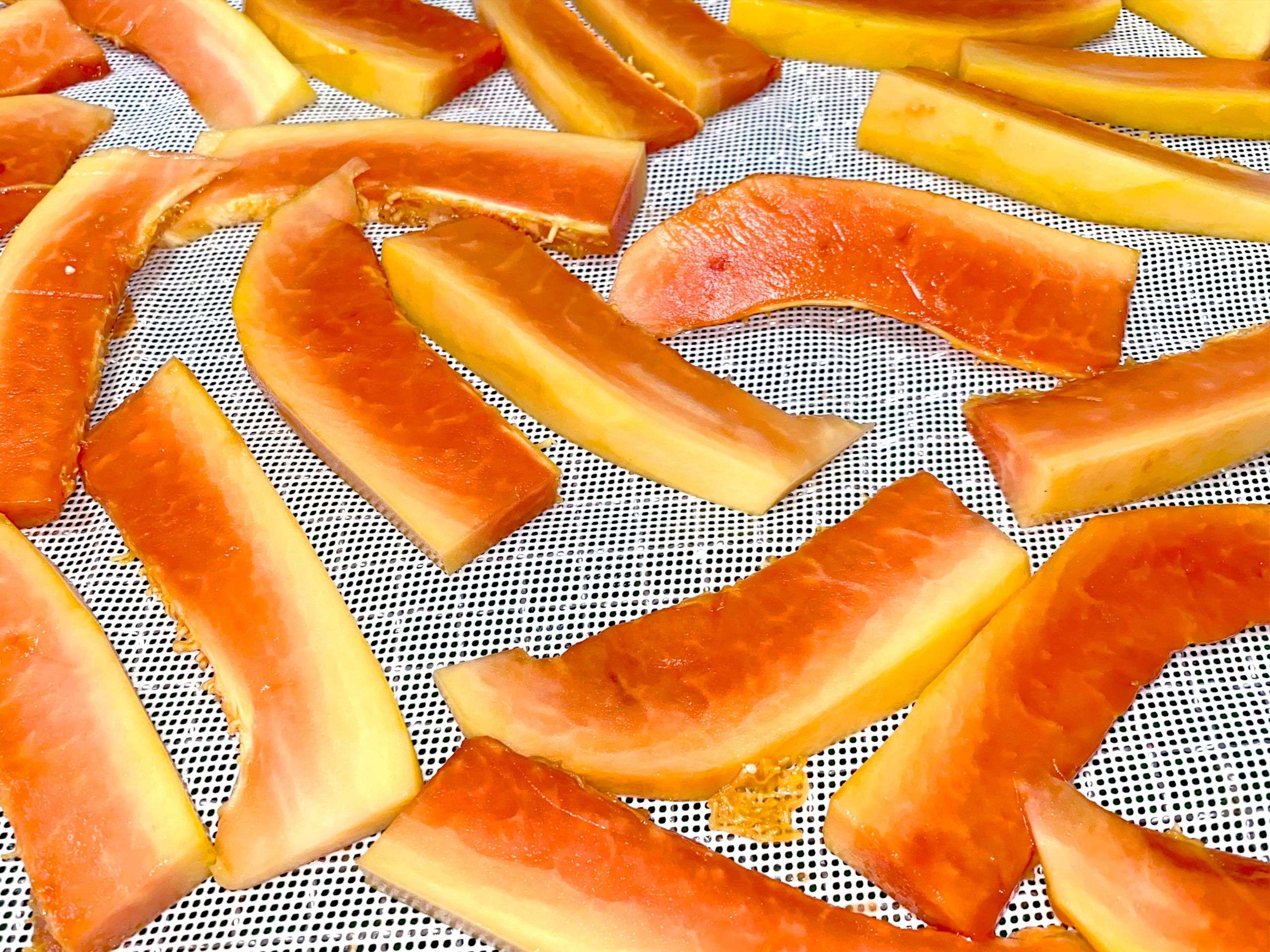 drying papaya in cheerfarm, premium dried fruits