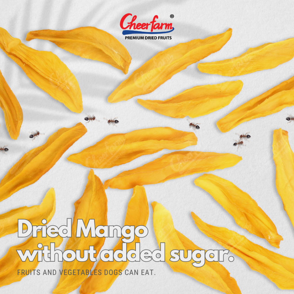 Nature’s Candy: The Rising Popularity of Dried Mango with No Sugar Cheer Farm
