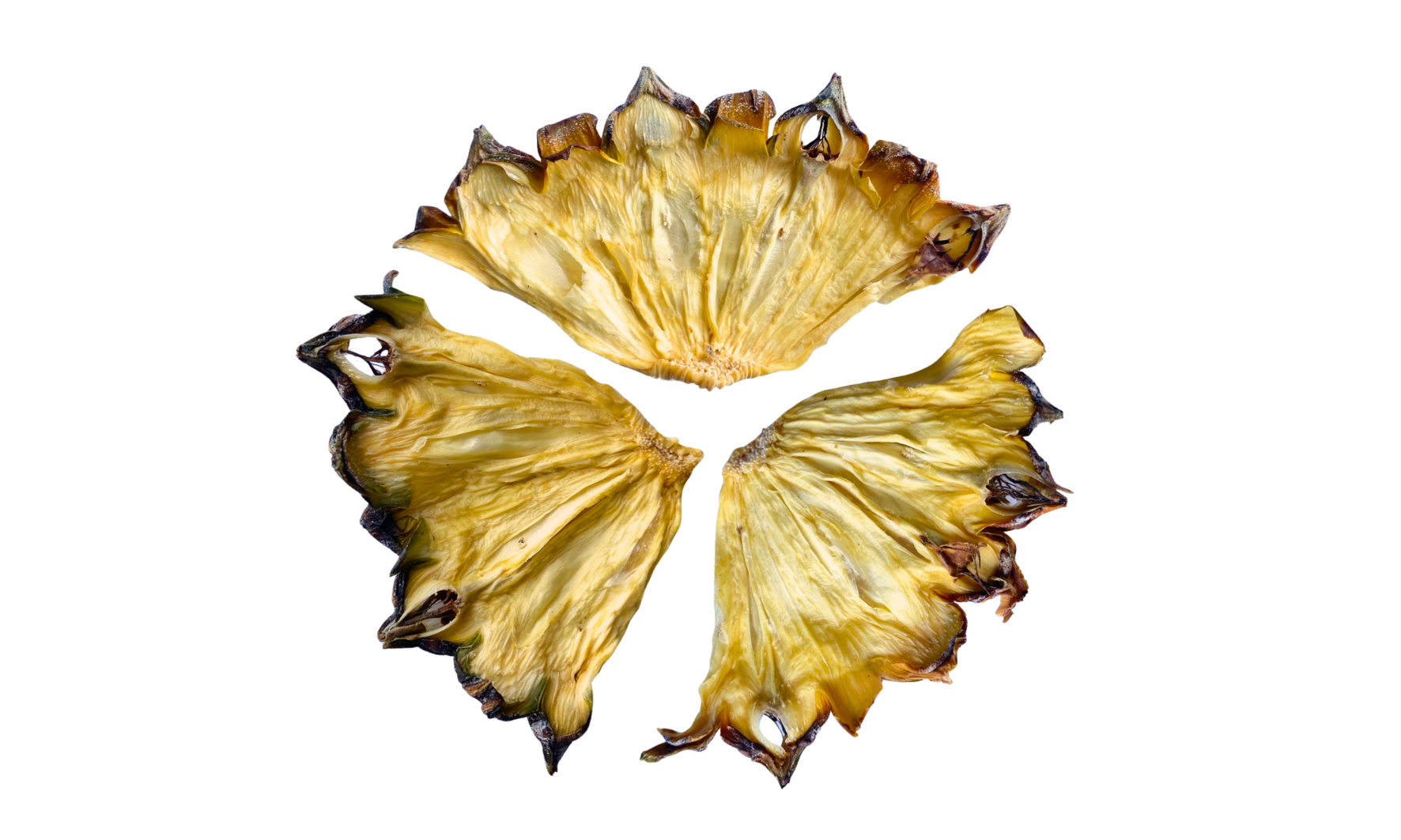 dehydrated pineapple tidbits with skin for garnishes