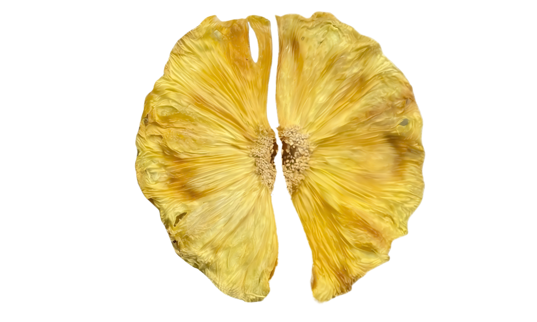 dehydrated pineapple half-cut for garnishes